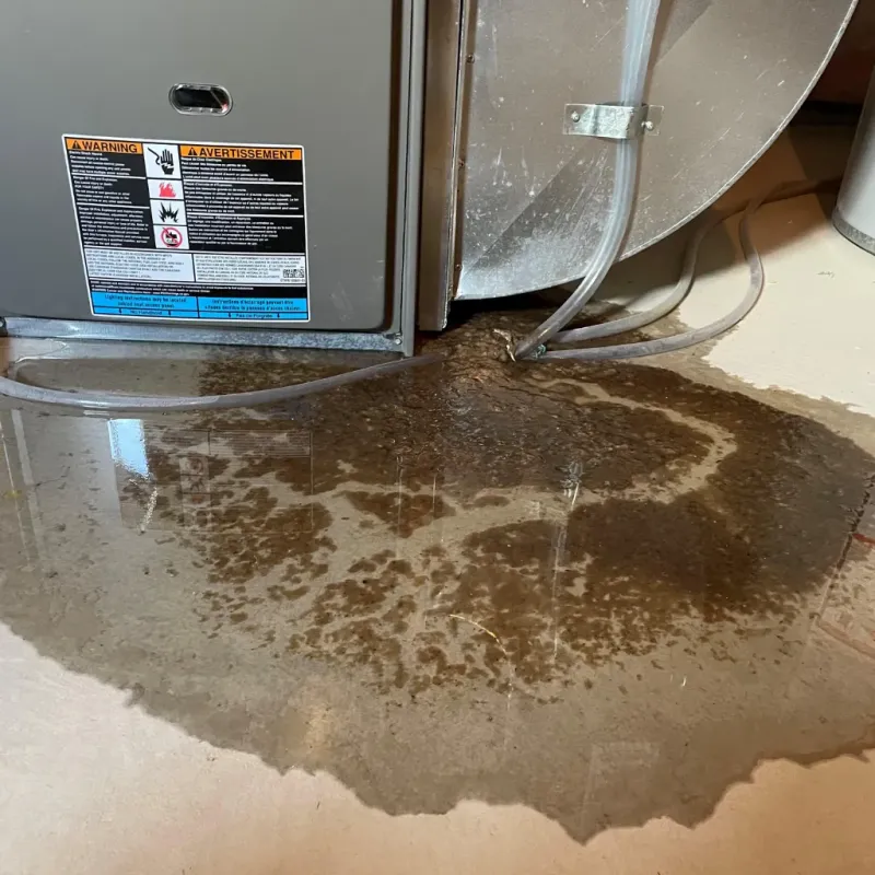 Appliance Leak Cleanup in Jonesville, NC